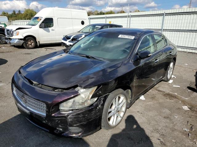 Photo 2 from auction – 2011 NISSAN MAXIMA S with VIN 1N4AA5AP9BC850243