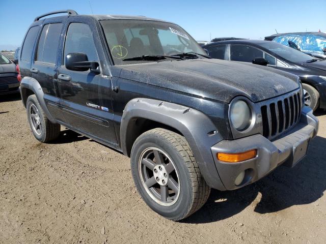 JEEP LIBERTY SP 2003 مع رقم تعريف المركبة 1J4GL48K63W692425 - صورة من المزاد