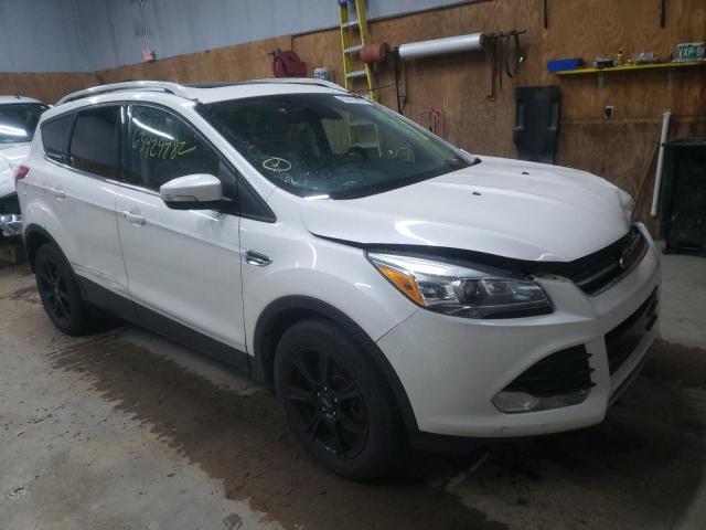 FORD ESCAPE TIT 2014 with VIN 1FMCU9JX0EUA99948 - Photo from auction