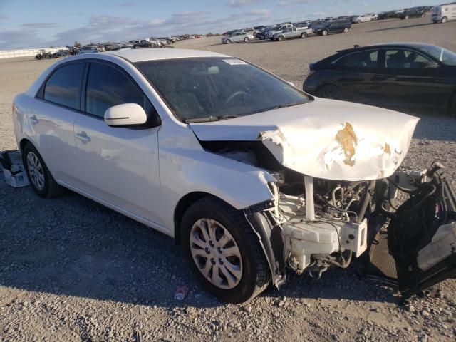 KIA FORTE EX 2013 with VIN KNAFU4A2XD5664253 - Photo from auction