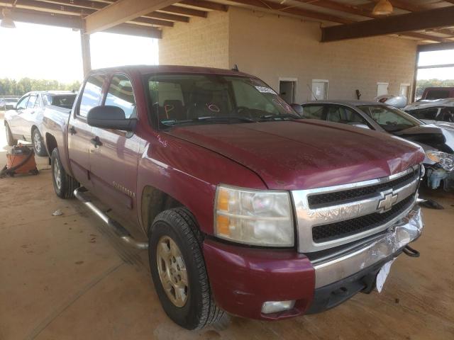 CHEVROLET SILVERADO 2007 with VIN 2GCEC13C371529742 - Photo from auction