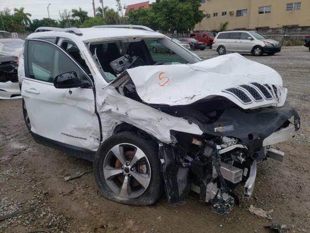 Photo 1 from auction – 2019 JEEP CHEROKEE L with VIN 1C4PJLDB8KD462438