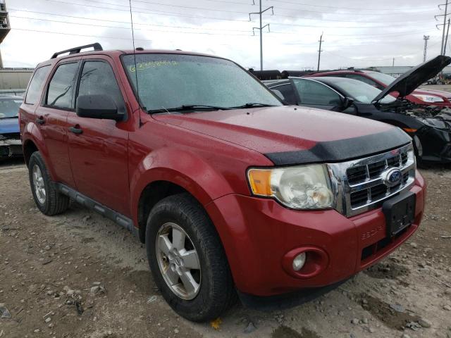 FORD ESCAPE XLT 2010 with VIN 1FMCU0DG3AKD10203 - Photo from auction