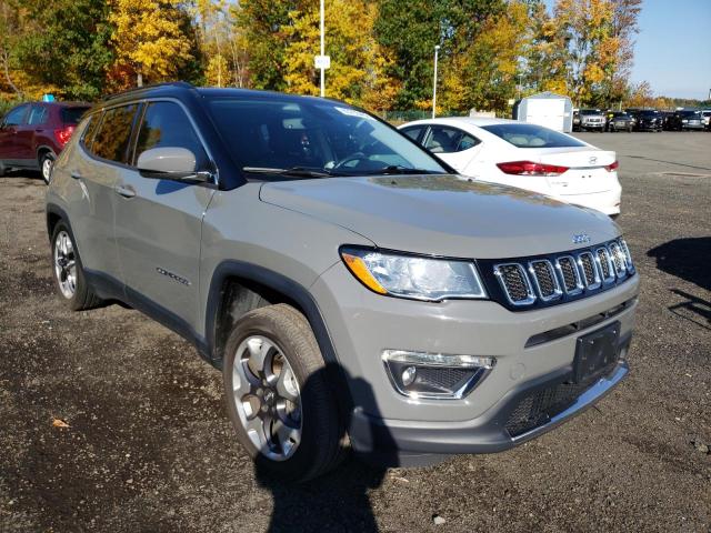 JEEP COMPASS LI 2020 with VIN 3C4NJDCB8LT203877 - Photo from auction