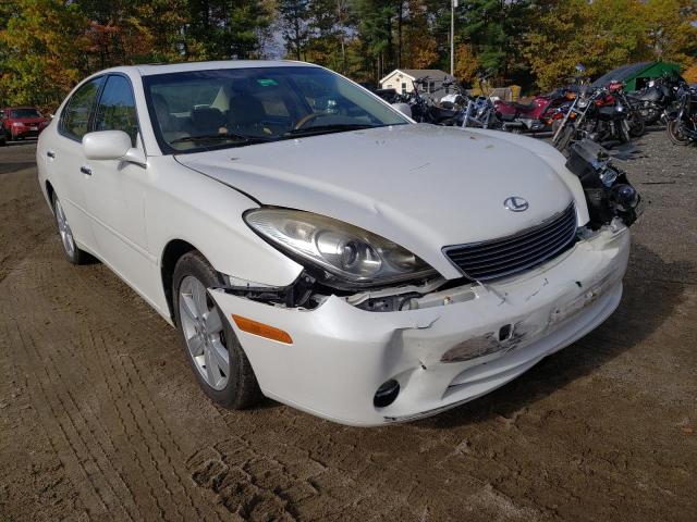 LEXUS ES 330 2006 with VIN JTHBA30G765159435 - Photo from auction
