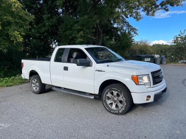 FORD F150 SUPER 2013 with VIN 1FTFX1EF3DKD63069 - Photo from auction