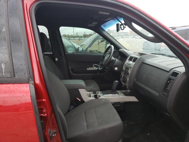 Photo 5 from auction – 2010 FORD ESCAPE XLT with VIN 1FMCU0DG3AKD10203