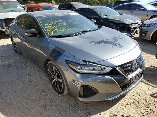 NISSAN MAXIMA SV 2021 with VIN 1N4AA6CVXMC503329 - Photo from auction