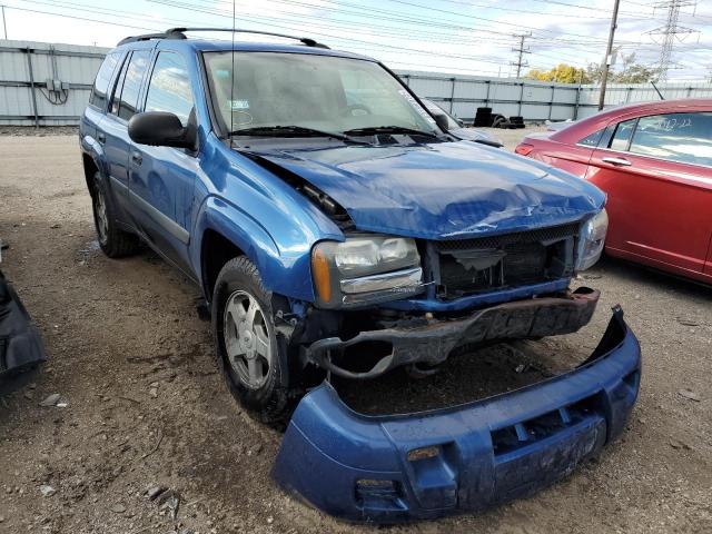 CHEVROLET TRAILBLAZE 2005 with VIN 1GNDS13S852234503 - Photo from auction