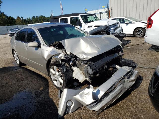 NISSAN MAXIMA SE 2006 with VIN 1N4BA41E26C808547 - Photo from auction