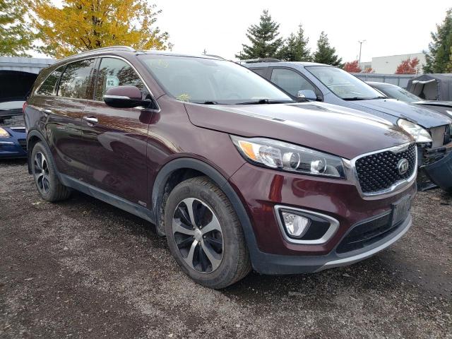 KIA SORENTO EX 2016 with VIN 5XYPHDA55GG183781 - Photo from auction