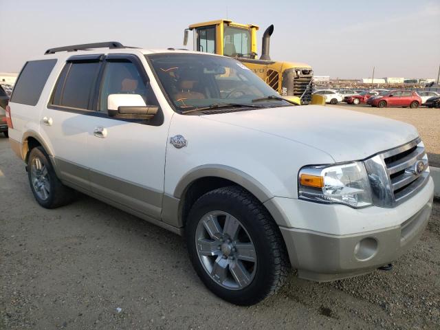 FORD EXPEDITION 2010 with VIN 1FMJU1J59AEB69037 - Photo from auction