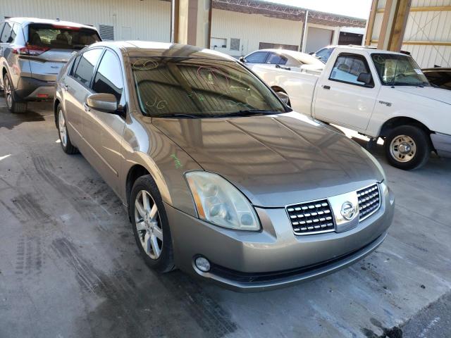 NISSAN MAXIMA SE 2006 with VIN 1N4BA41E86C812201 - Photo from auction