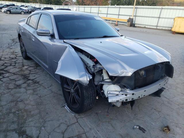 DODGE CHARGER R/ 2014 with VIN 2C3CDXDT8EH156292 - Photo from auction