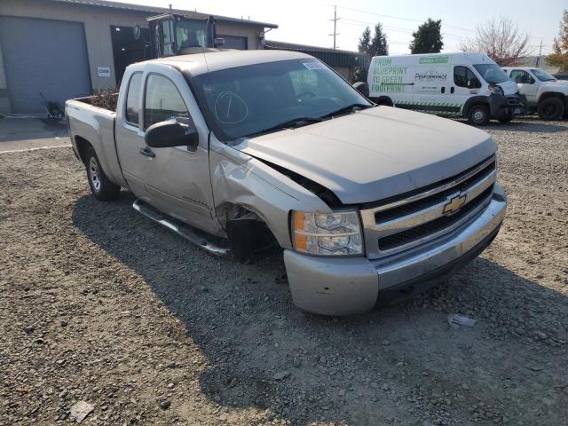 CHEVROLET SILVERADO 2008 with VIN 1GCEC19C98Z121889 - Photo from auction