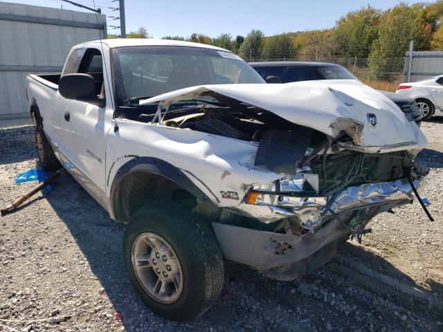DODGE DAKOTA 1999 with VIN 1B7GG22X4XS105932 - Photo from auction