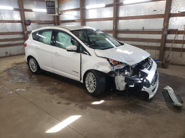 FORD C-MAX SEL 2013 with VIN 1FADP5BU8DL554374 - Photo from auction