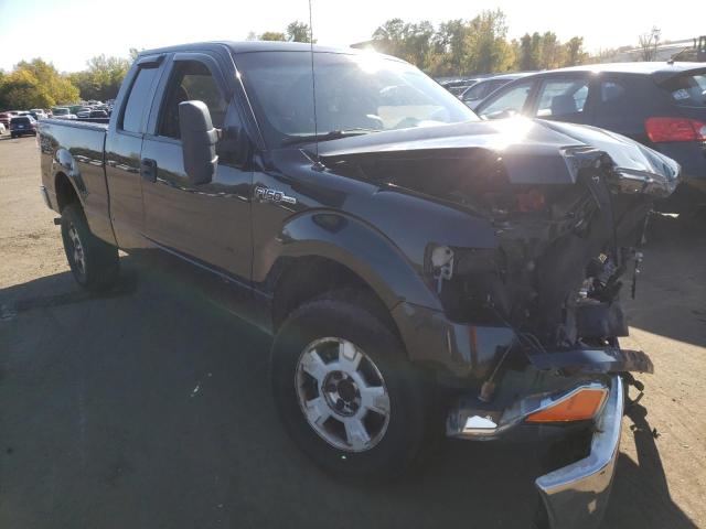 FORD F150 SUPER 2010 with VIN 1FTEX1E85AFB53333 - Photo from auction