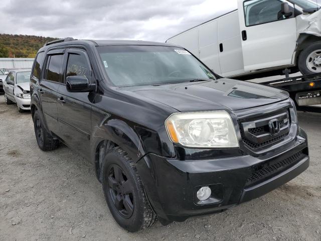 HONDA PILOT EX 2010 with VIN 5FNYF4H41AB031955 - Photo from auction