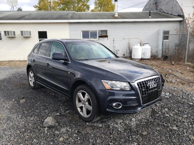 AUDI Q5 PREMIUM 2012 with VIN WA1DKAFPXCA135081 - Photo from auction