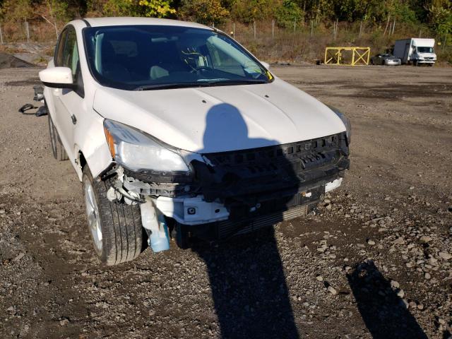 Photo 9 from auction – 2014 FORD ESCAPE SE with VIN 1FMCU9G98EUD34198