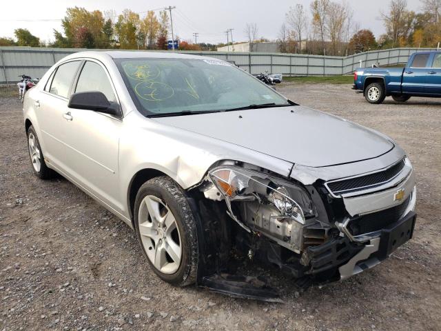 CHEVROLET MALIBU LS 2010 with VIN 1G1ZB5EBXAF231567 - Photo from auction