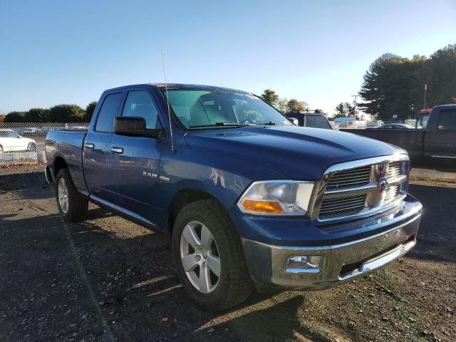 DODGE RAM 1500 2010 with VIN 1D7RV1GT6AS114627 - Photo from auction
