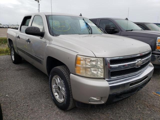 CHEVROLET SILVERADO 2009 with VIN 3GCEK23309G120441 - Photo from auction