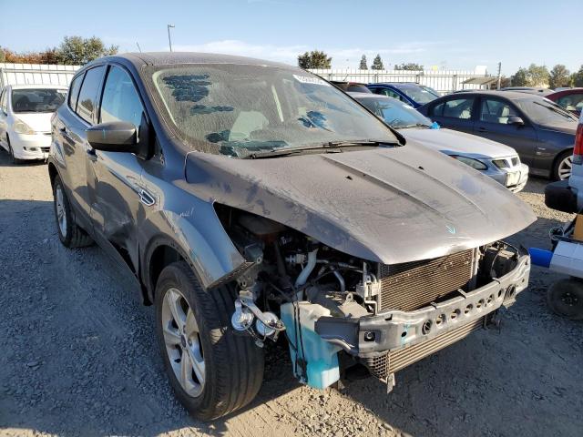 FORD ESCAPE SE 2013 with VIN 1FMCU0GX0DUC36209 - Photo from auction