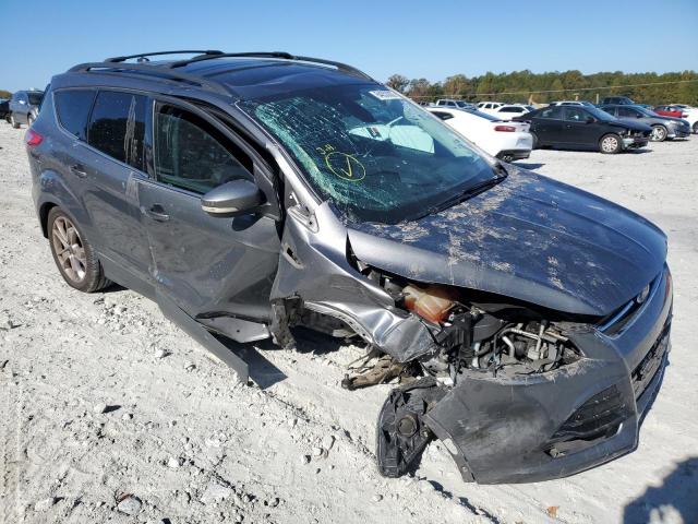 FORD ESCAPE SEL 2013 with VIN 1FMCU0HX2DUC08636 - Photo from auction