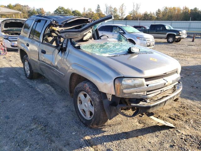 CHEVROLET TRAILBLAZE 2002 with VIN 1GNDT13S722406772 - Photo from auction
