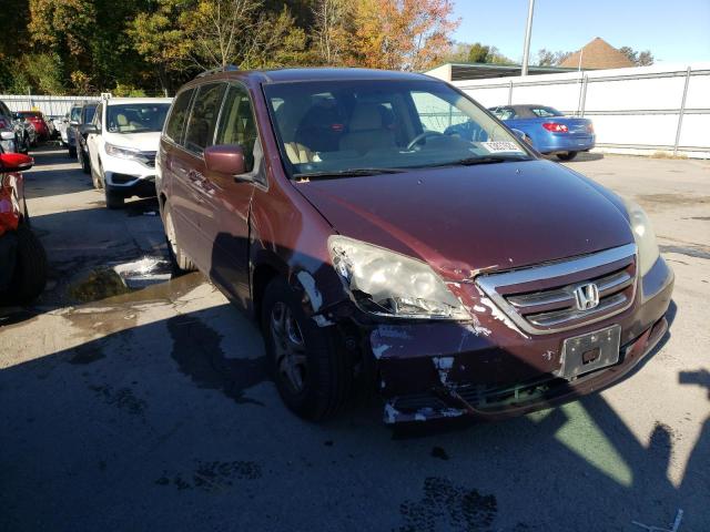 HONDA ODYSSEY EX 2007 with VIN 5FNRL38457B405533 - Photo from auction
