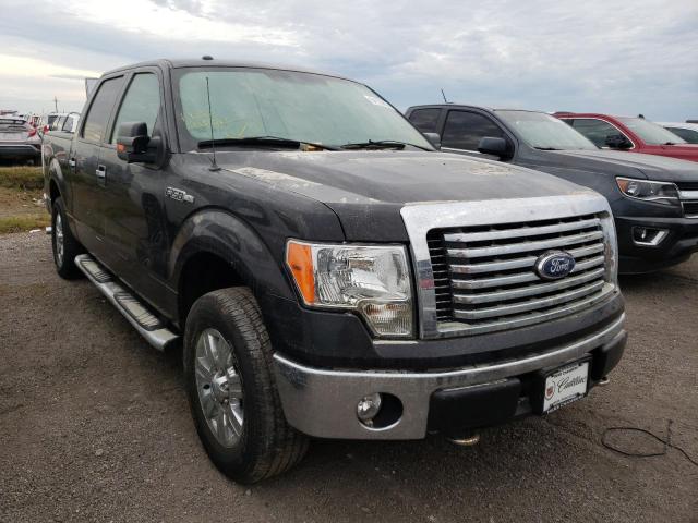FORD F150 SUPER 2010 with VIN 1FTEW1E84AFC67407 - Photo from auction