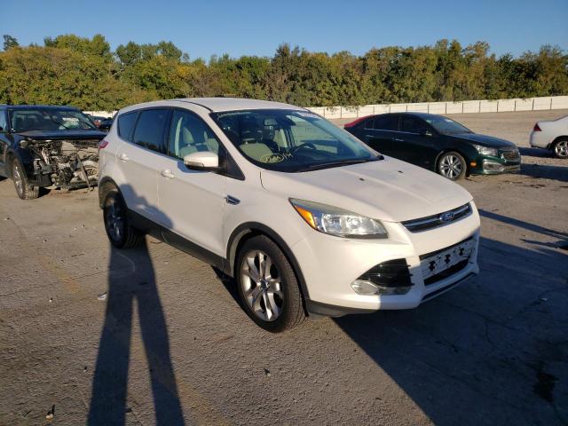 FORD ESCAPE SEL 2013 with VIN 1FMCU0HX6DUB39319 - Photo from auction