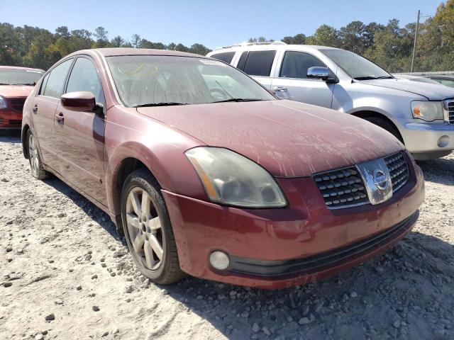 NISSAN MAXIMA SE 2004 with VIN 1N4BA41E04C897824 - Photo from auction