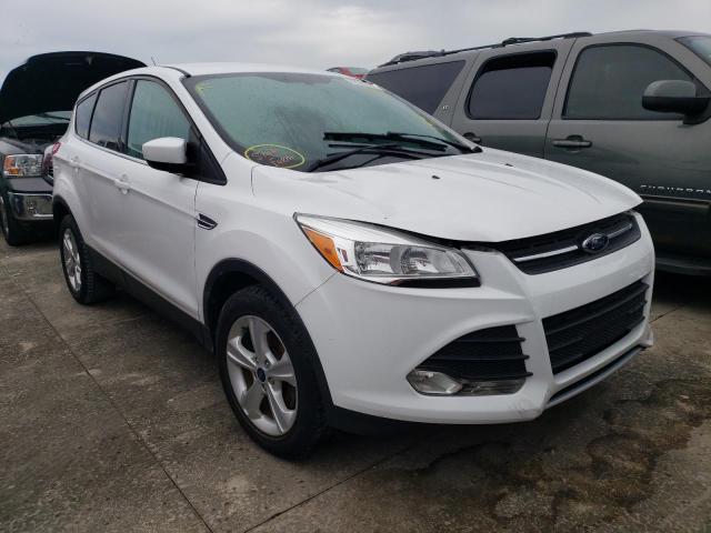 Photo 1 from auction – 2014 FORD ESCAPE SE with VIN 1FMCU0GX6EUD14364
