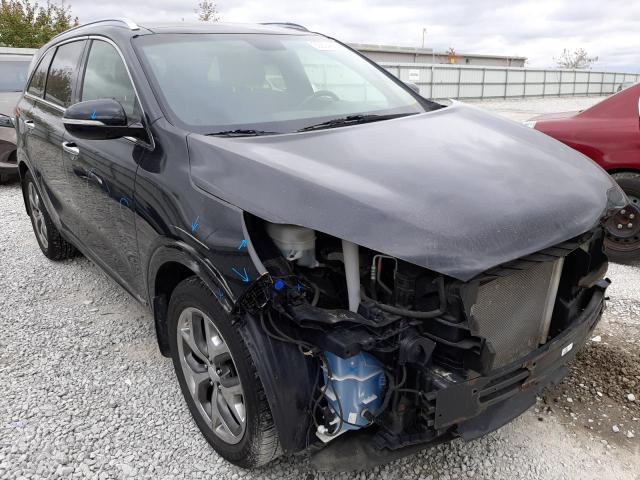 KIA SORENTO SX 2016 with VIN 5XYPKDA12GG035361 - Photo from auction
