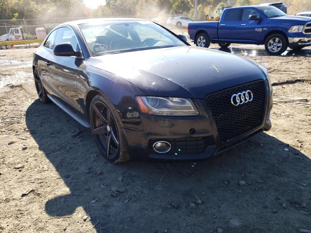 AUDI A5 QUATTRO 2009 with VIN WAUDK78T79A032032 - Photo from auction