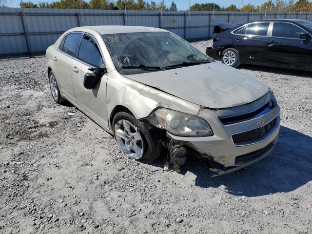 CHEVROLET MALIBU LS 2010 with VIN 1G1ZB5EB9AF147093 - Photo from auction
