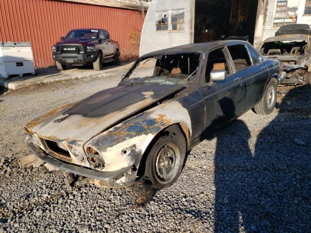 Photo 2 from auction – 1983 JAGUAR XJ6 with VIN SAJAV1345DC347176