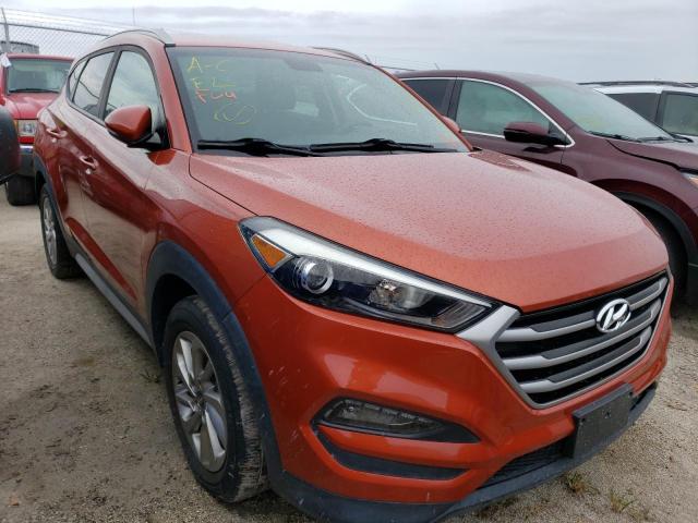HYUNDAI TUCSON LIM 2017 with VIN KM8J3CA49HU548397 - Photo from auction