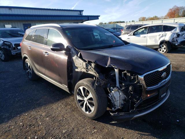 KIA SORENTO EX 2017 with VIN 5XYPHDA57HG282118 - Photo from auction