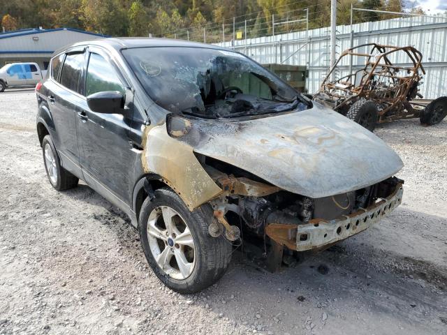 FORD ESCAPE SE 2014 with VIN 1FMCU0GX6EUB58553 - Photo from auction