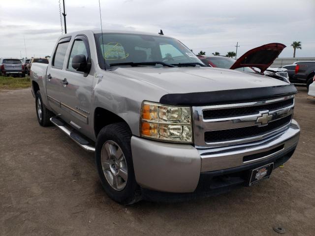 CHEVROLET SILVERADO 2009 with VIN 2GCFC135391130015 - Photo from auction