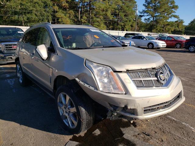 CADILLAC SRX PERFOR 2010 with VIN 3GYFNBEY1AS650501 - Photo from auction