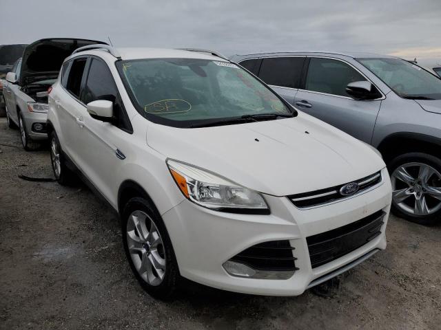 FORD ESCAPE TIT 2014 with VIN 1FMCU0J99EUB12662 - Photo from auction