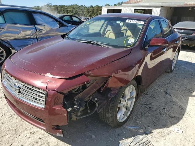 Photo 2 from auction – 2009 NISSAN MAXIMA S with VIN 1N4AA51E39C809616