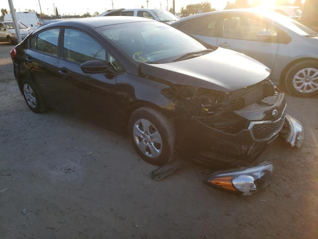 KIA FORTE LX 2016 with VIN KNAFK4A67G5616304 - Photo from auction