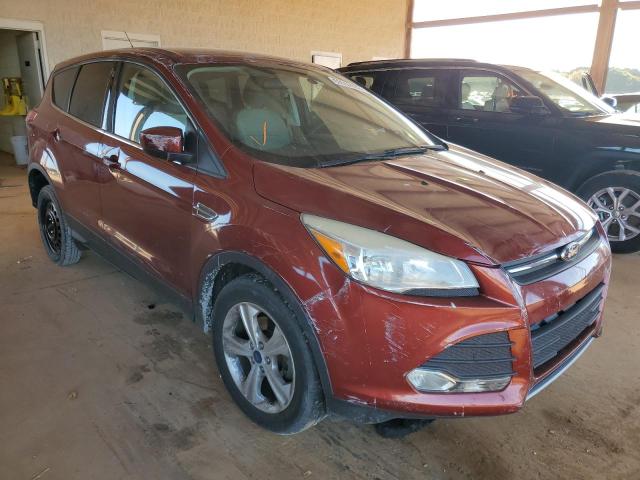 FORD ESCAPE SE 2014 with VIN 1FMCU0GX5EUC93684 - Photo from auction