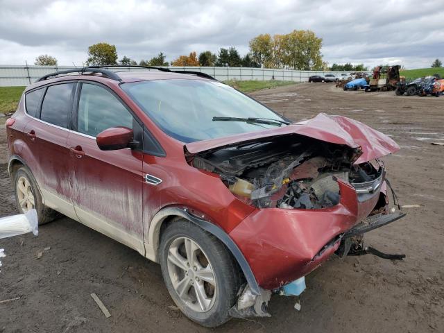 FORD ESCAPE SE 2014 with VIN 1FMCU0GX1EUD96228 - Photo from auction